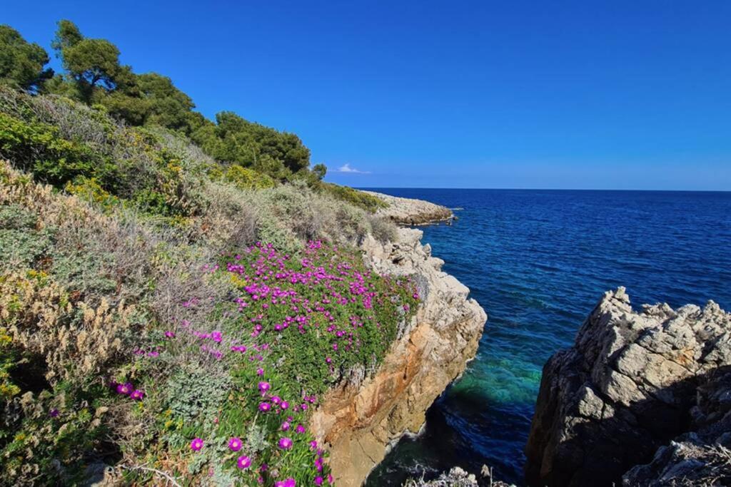 Casalionelantibes 70 Sqm With Garden And Parking Apartamento